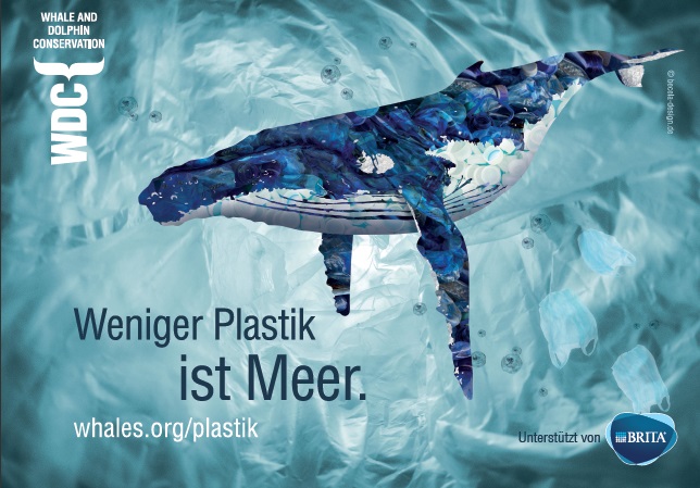 Clean-Up mit WDC und BRITA auf Sylt