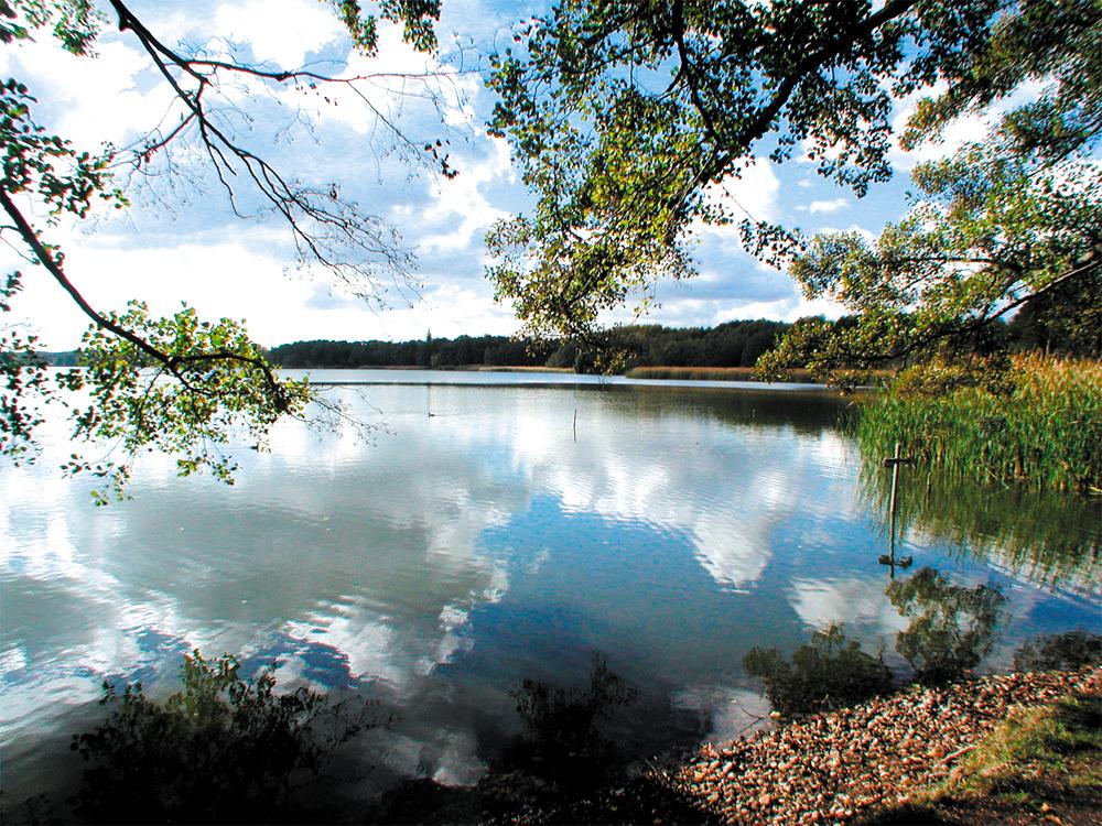 CleanUp Am Mellensee (Brandenburg)