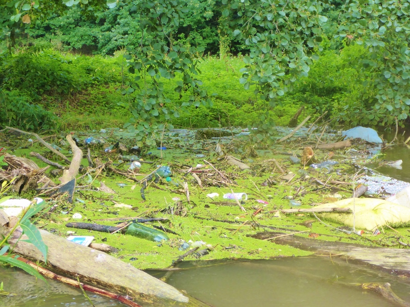 CleanUp the Paradies-Park and Saale-River at Jena (Thüringen)