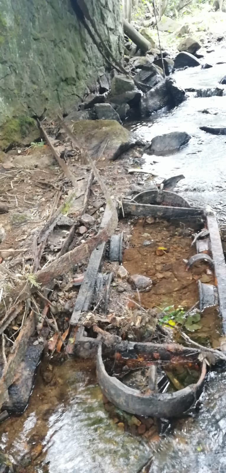 Wir säubern den Fluss. (Thüringen, Brotterode)