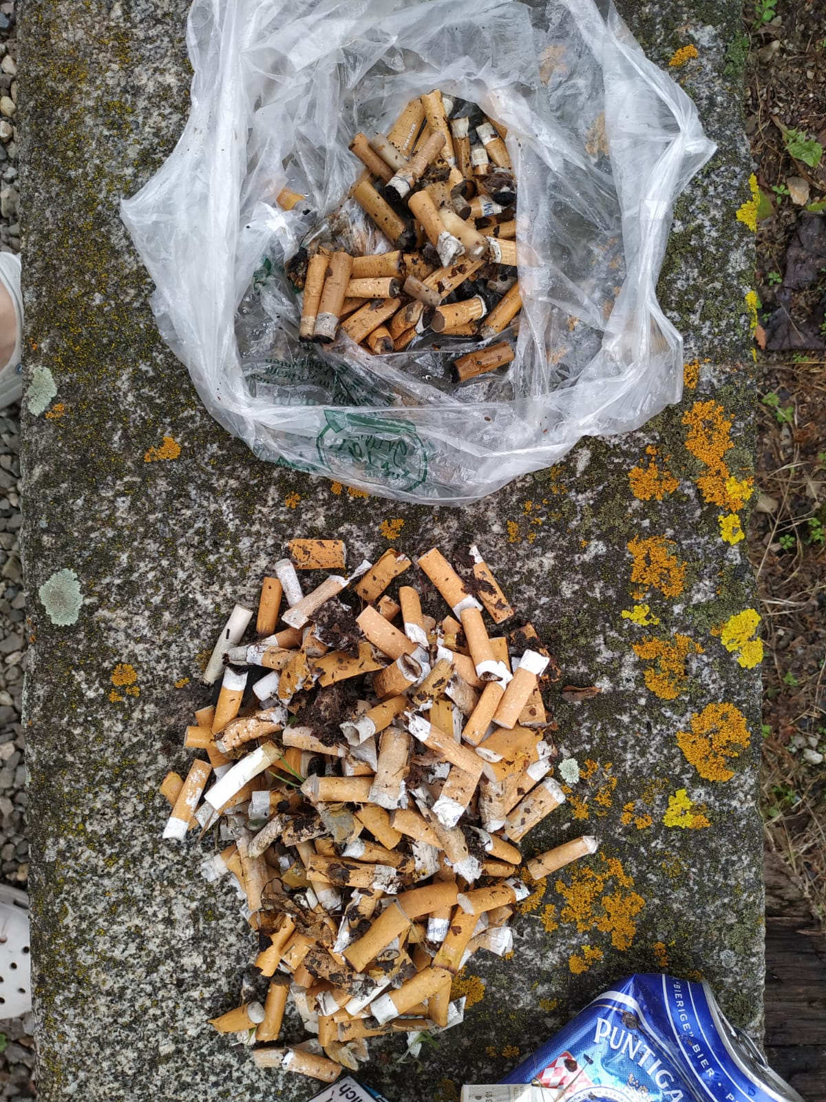 Cleanup in Langenpreising, München (Bayern)