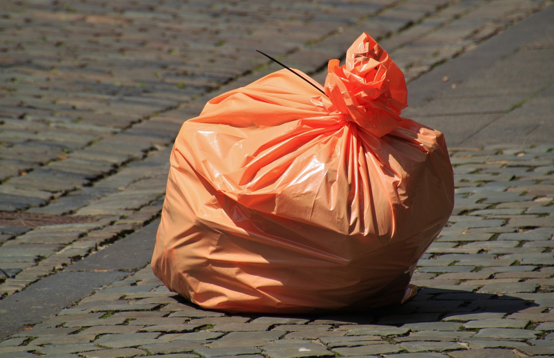 World Cleanup Day in Lichtenrade - (Berlin)