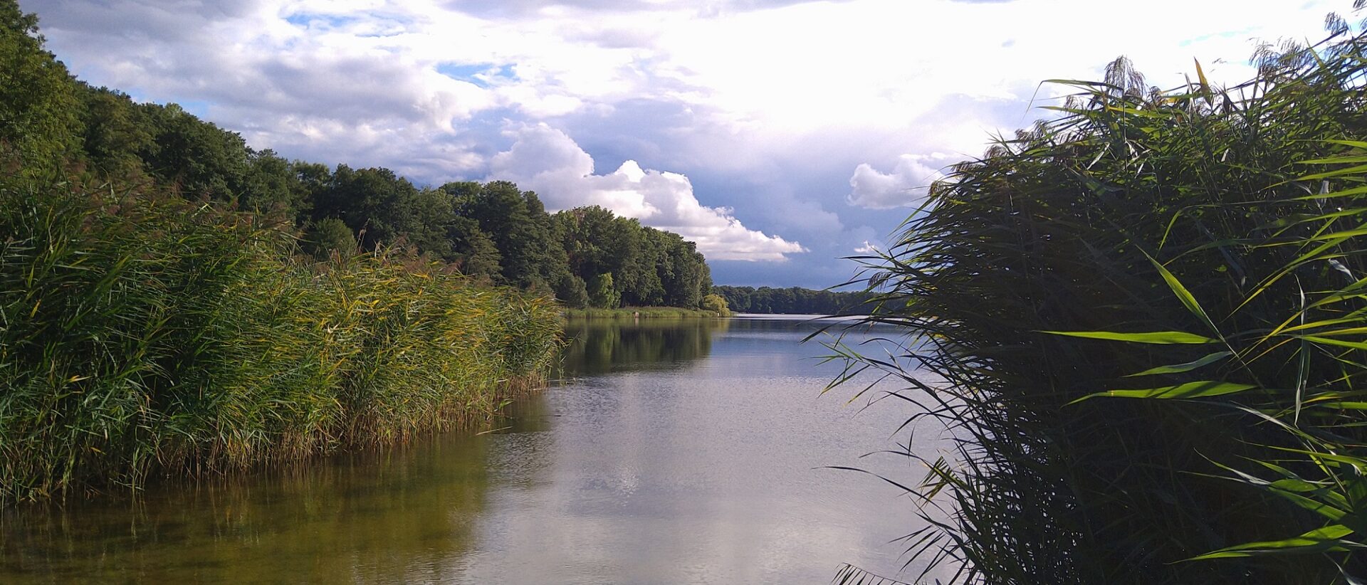 Herbstputz Siethen (Brandenburg)