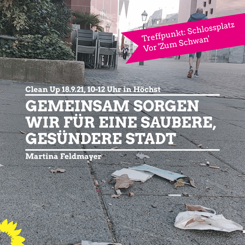 Cleanup Frankfurt Höchst (Hessen)