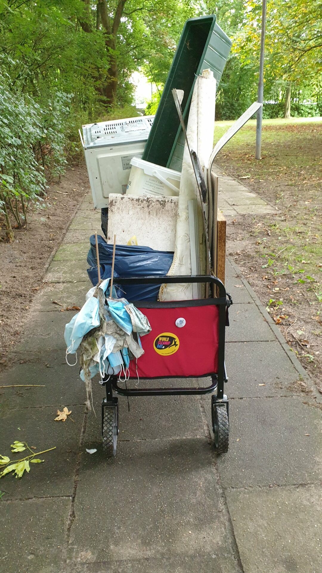 Sternsammeln in Glinde (Schleswig-Holstein)