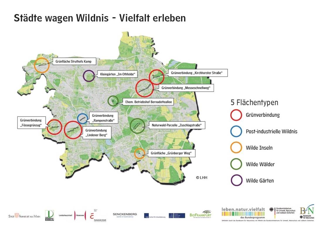 Cleanup auf der Wildnisfläche "Fössegrünzug" (Niedersachsen)