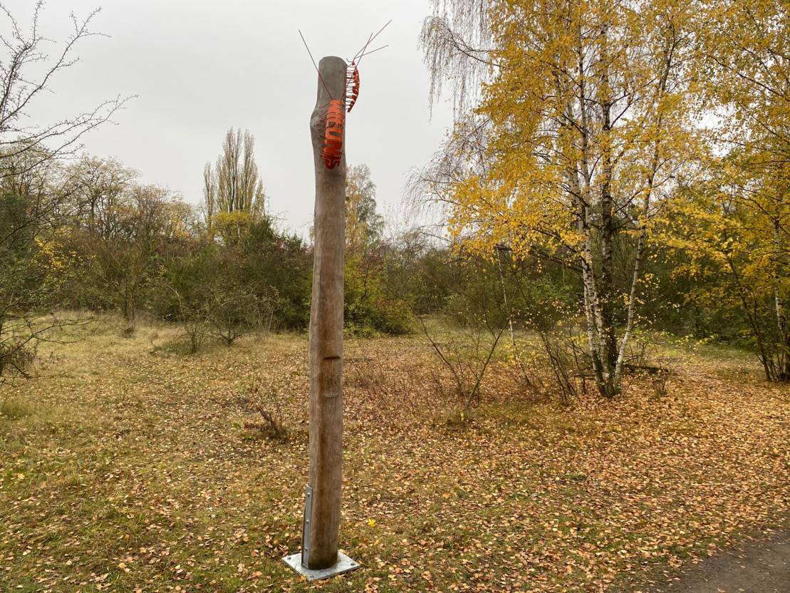 Cleanup auf der Wildnis-Fläche "Lindener Berg" (Niedersachsen)