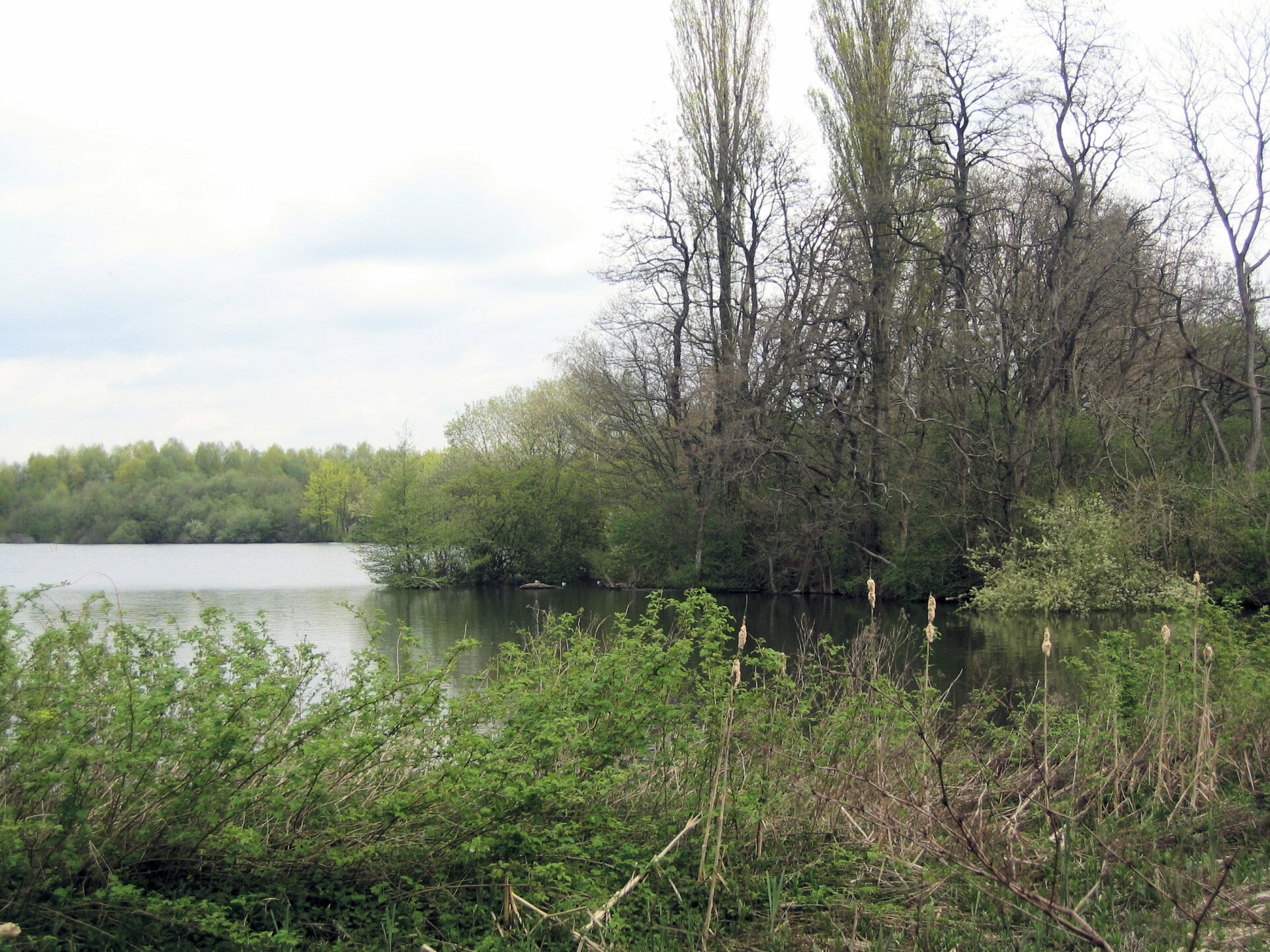 Cleanup an der Hallerey (Nordrhein-Westfalen)