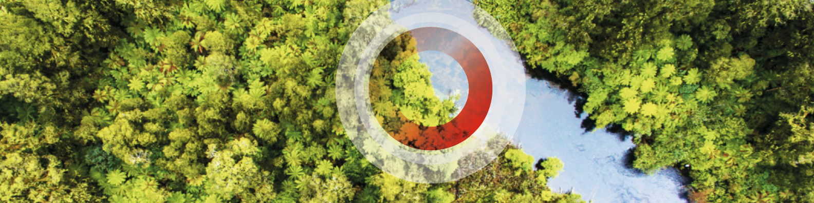 #EnablingSustainability - Wir befreien das Donautal von Plastikmüll (Baden-Württemberg)