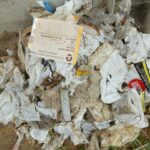 ratzeburg cleanup priwall 11.09.2022 04