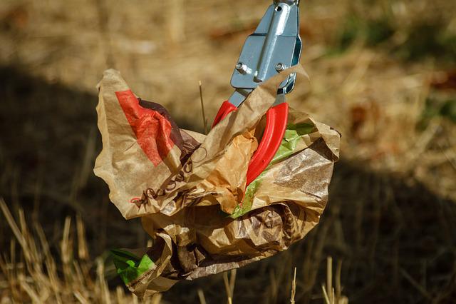 Cleanup Domänental Kronshagen (Schleswig-Holstein)