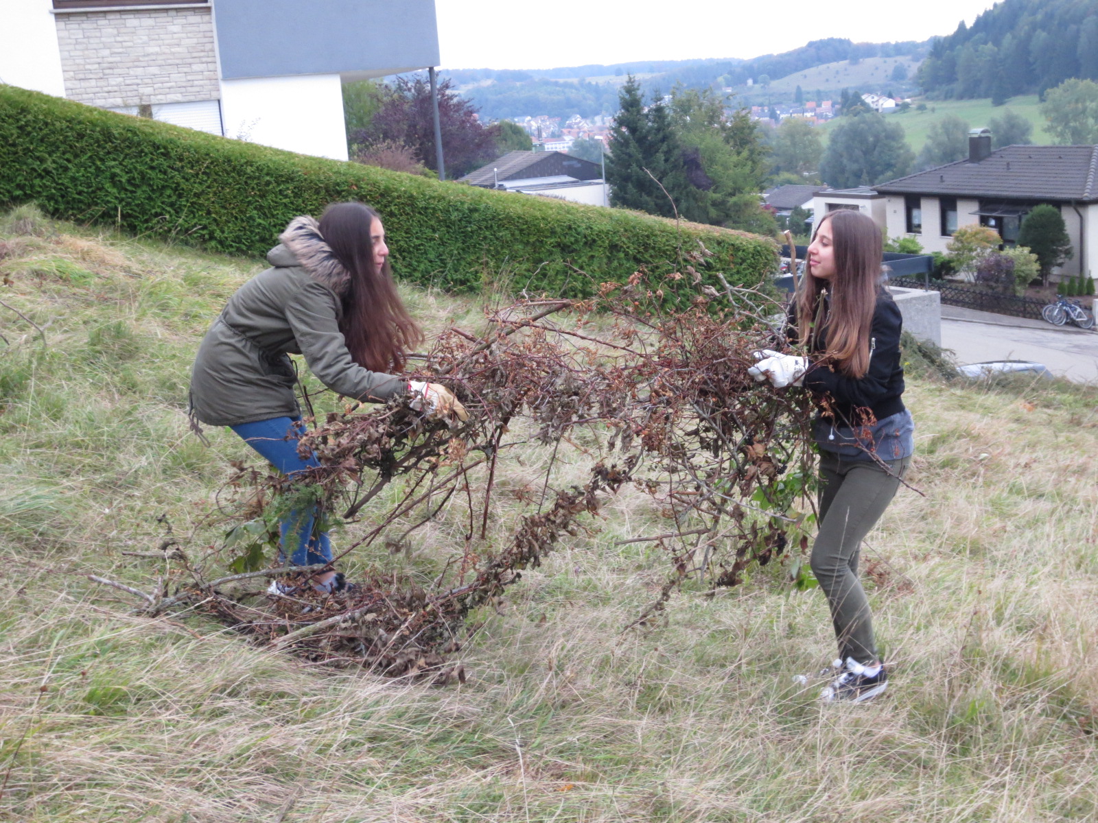 Landschaftspflegetag in Onstmettingen (Baden-Württemberg)