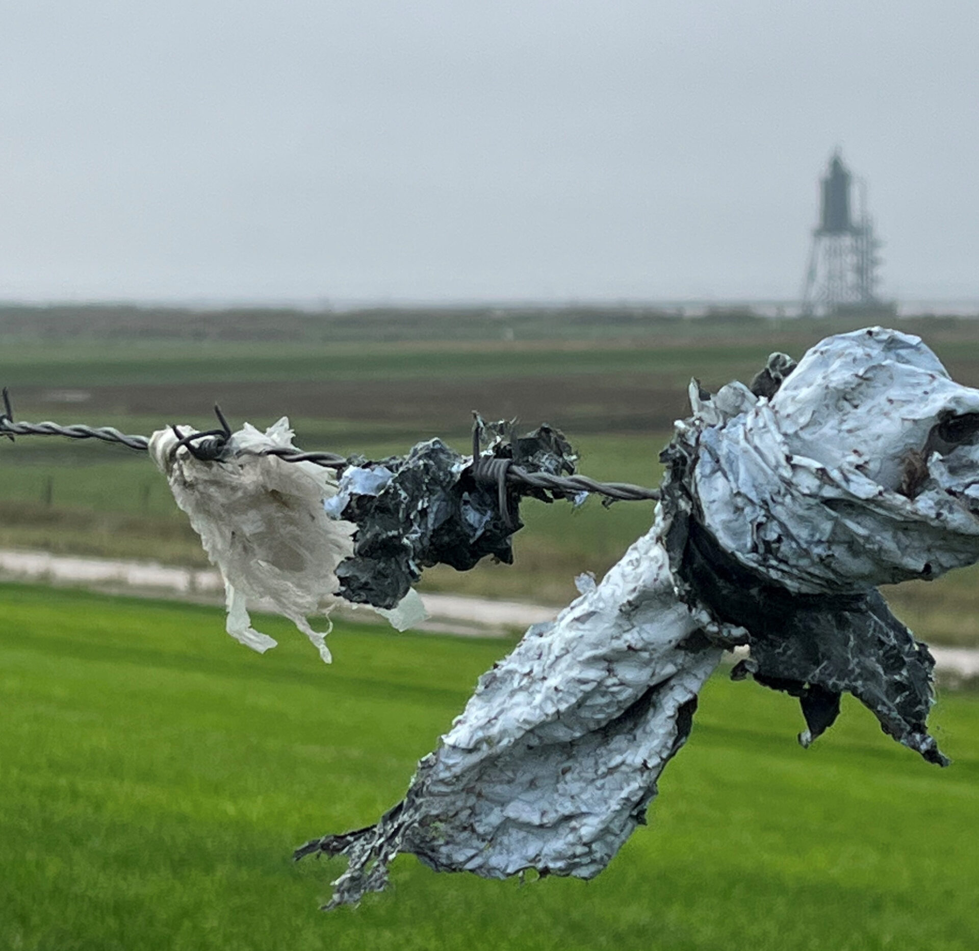 World Cleanup Day mit den Junior Ranger:innen (Niedersachsen)