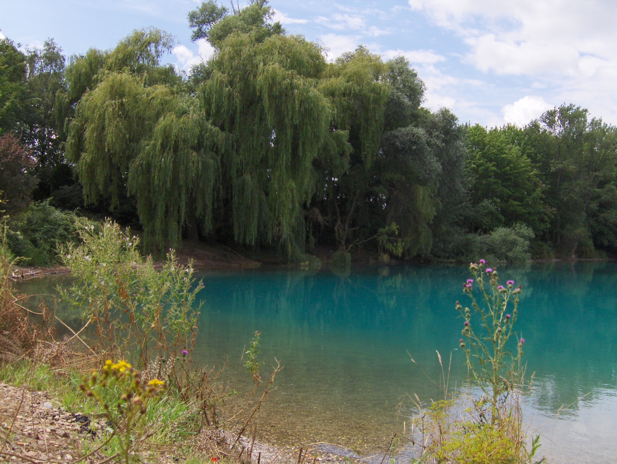 Müll sammeln rund um den Rimsinger Baggersee (Baden-Württemberg)