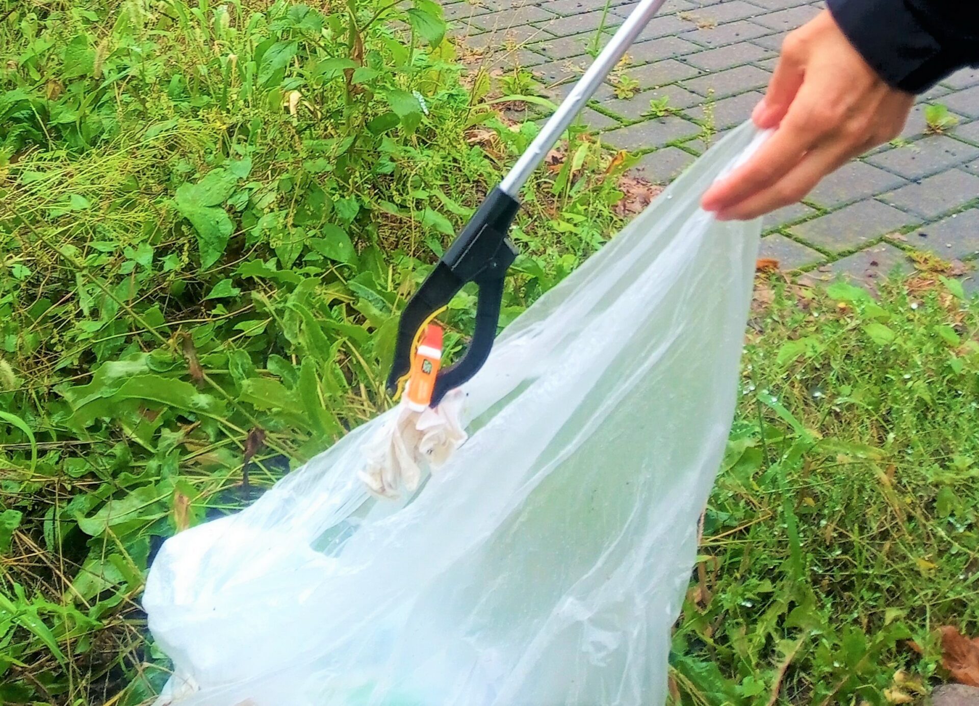 Cleanup in Dresden-Pieschen! (Sachsen)