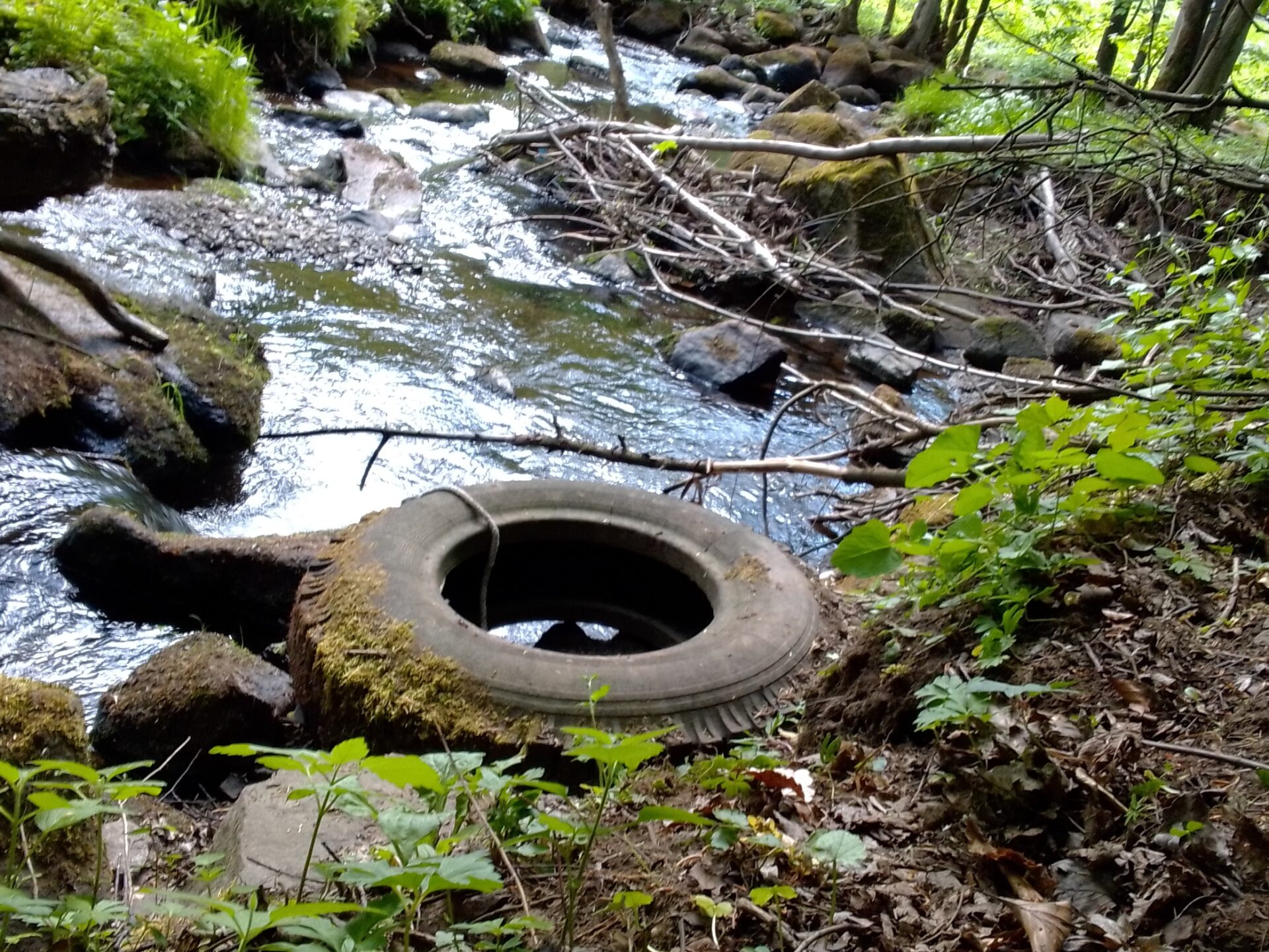 Wir sammeln Reifen. (Thüringen)