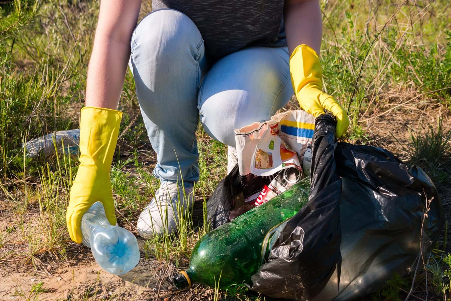 Cleanup Bremerhaven
