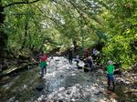 Körsch Clean- Up GCAD544 (Baden-Württemberg)
