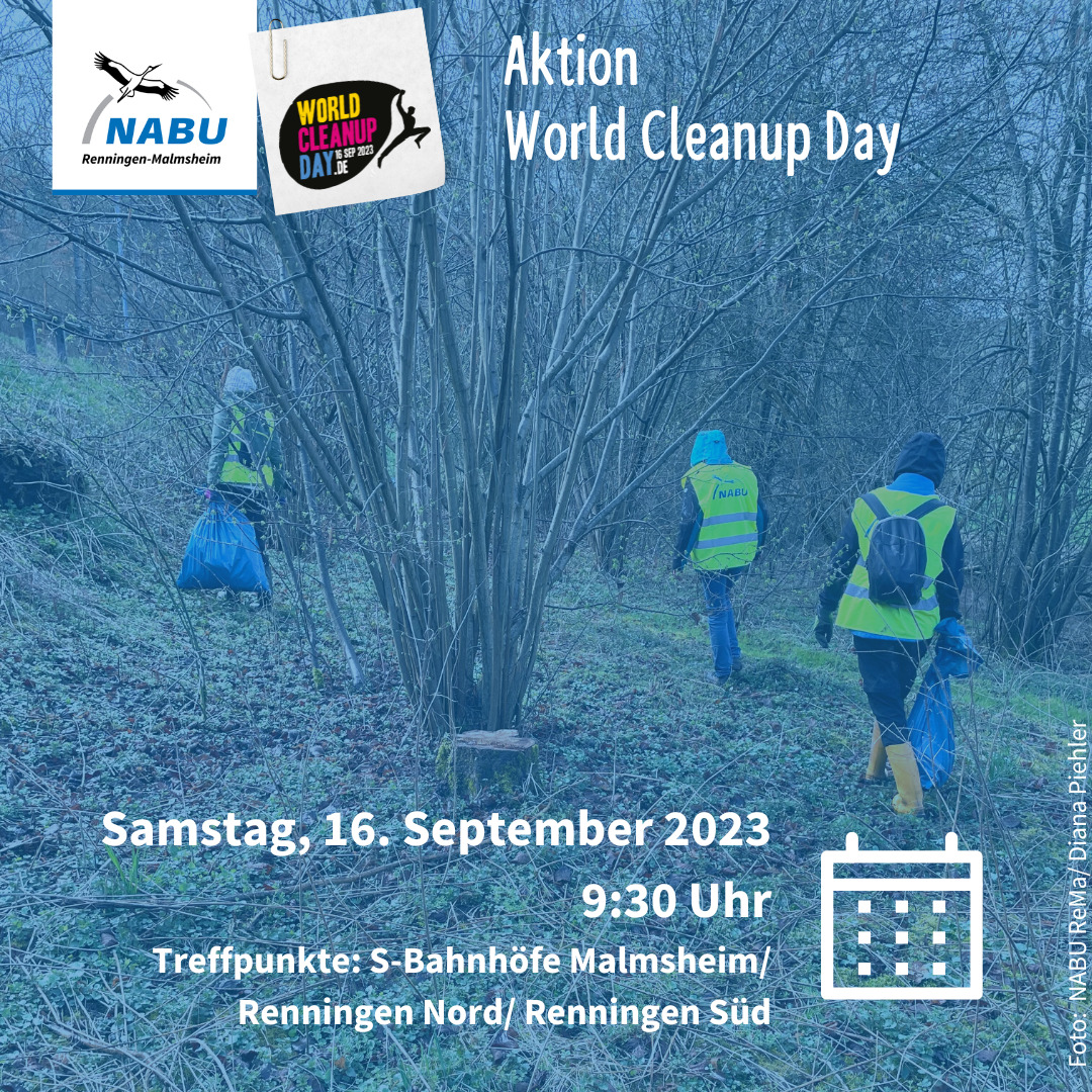 Cleanup Day Renningen Nord (Baden Württemberg)