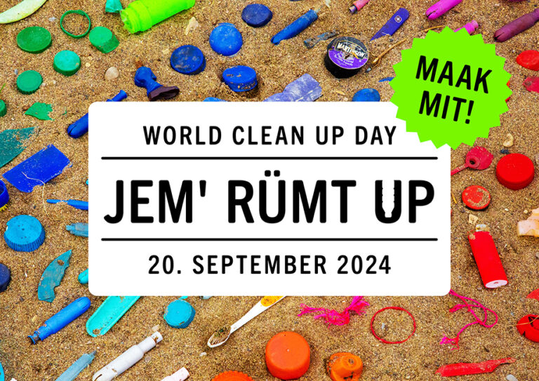 wcd 24 jemgum klein