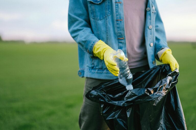 world cleanup day