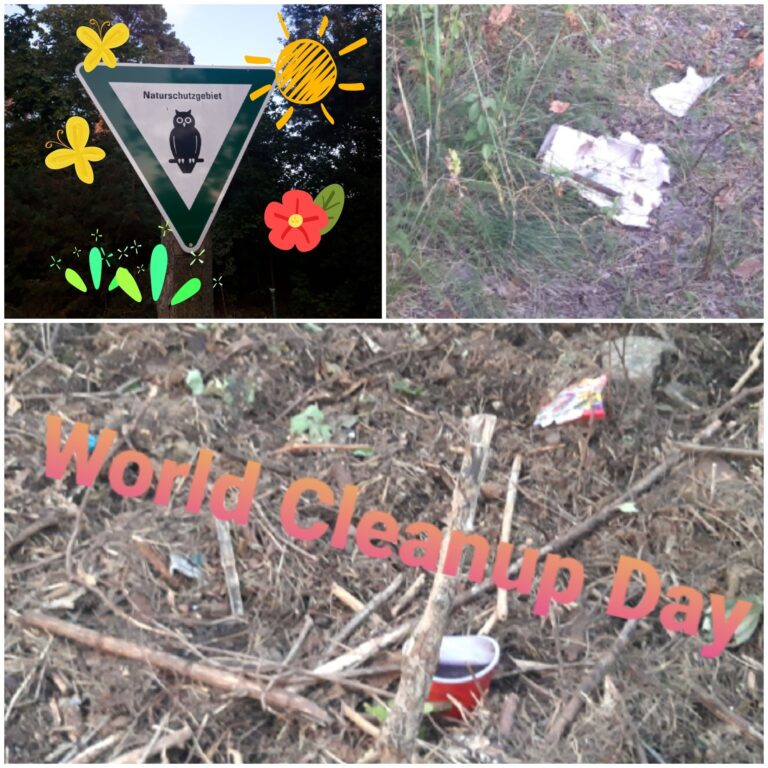 world cleanup day 2024 (1)