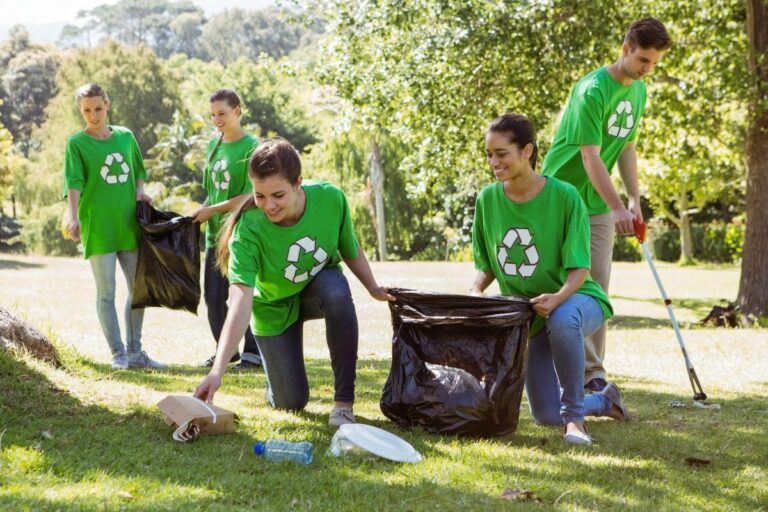 clean up park