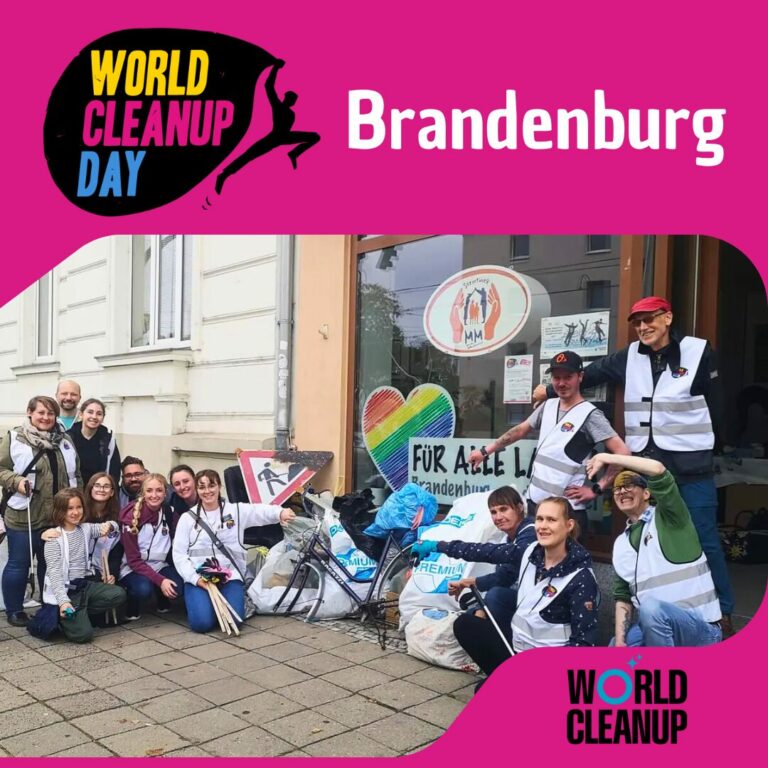 2025 wcd bb 06