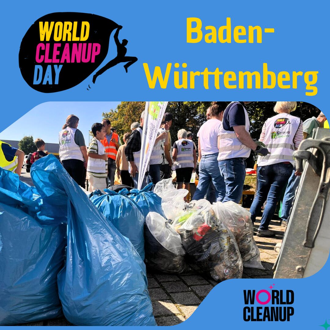 World Cleanup Day - Singen (BW)