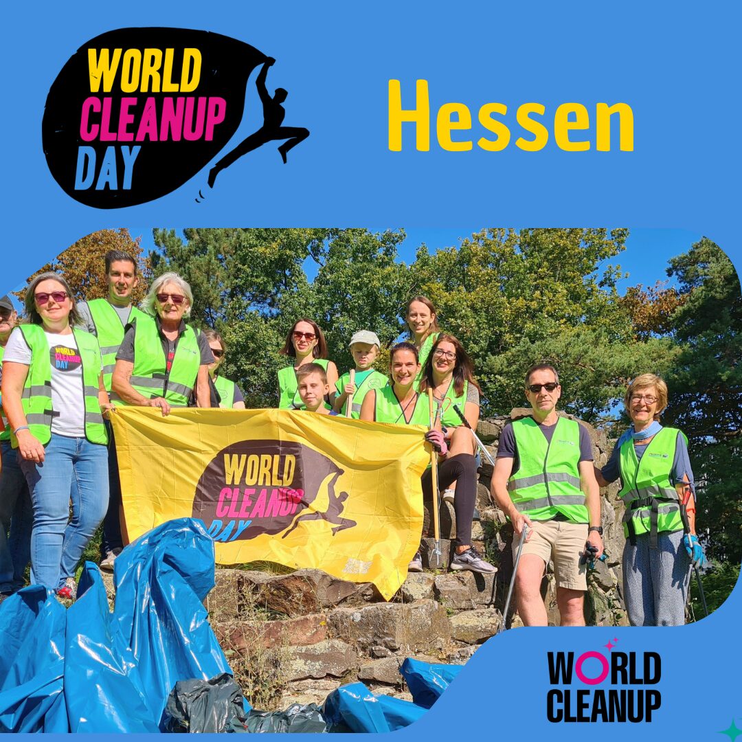 Cleanup in Frankfurt a. M. (Hessen)