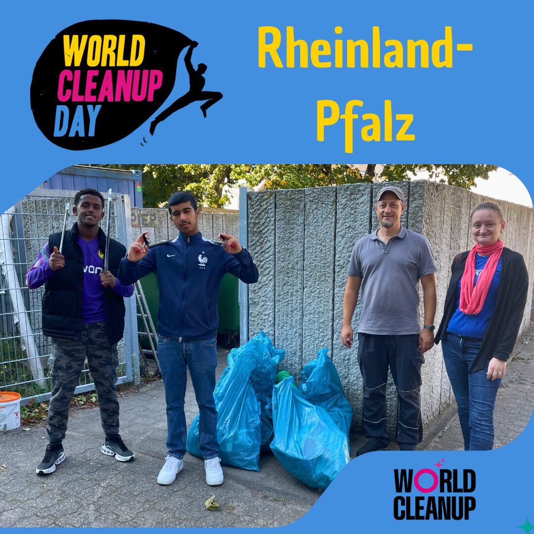 Cleanup LU (RLP)
