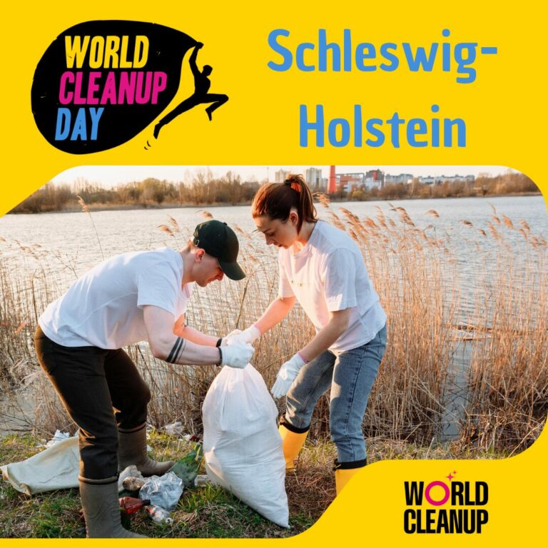 2025 wcd sh 06