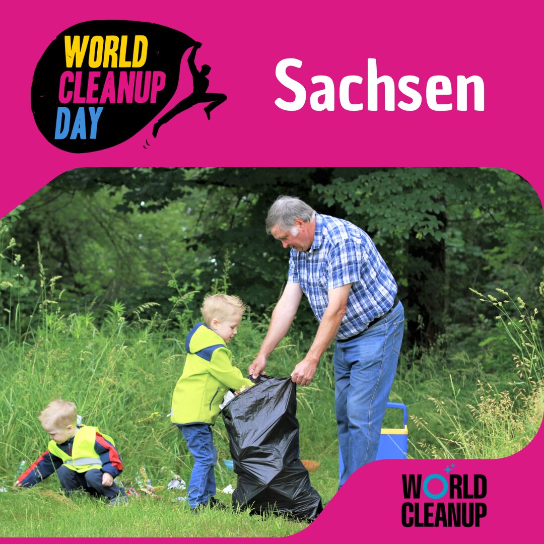 Müllsammlung Cleanup (Sachsen)