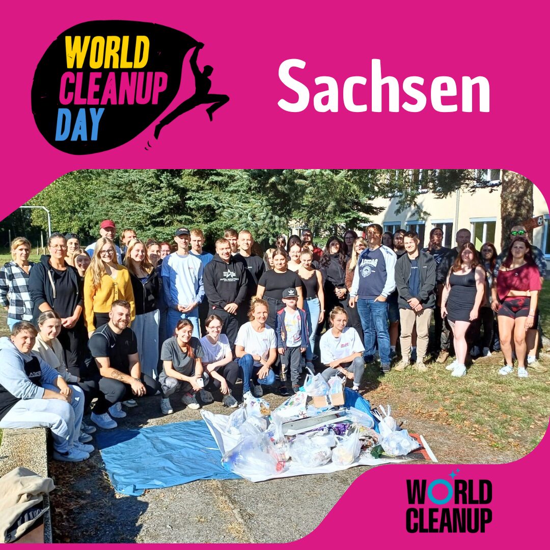 Pfadfinder*innen der Füchse sammeln! (Sachsen)