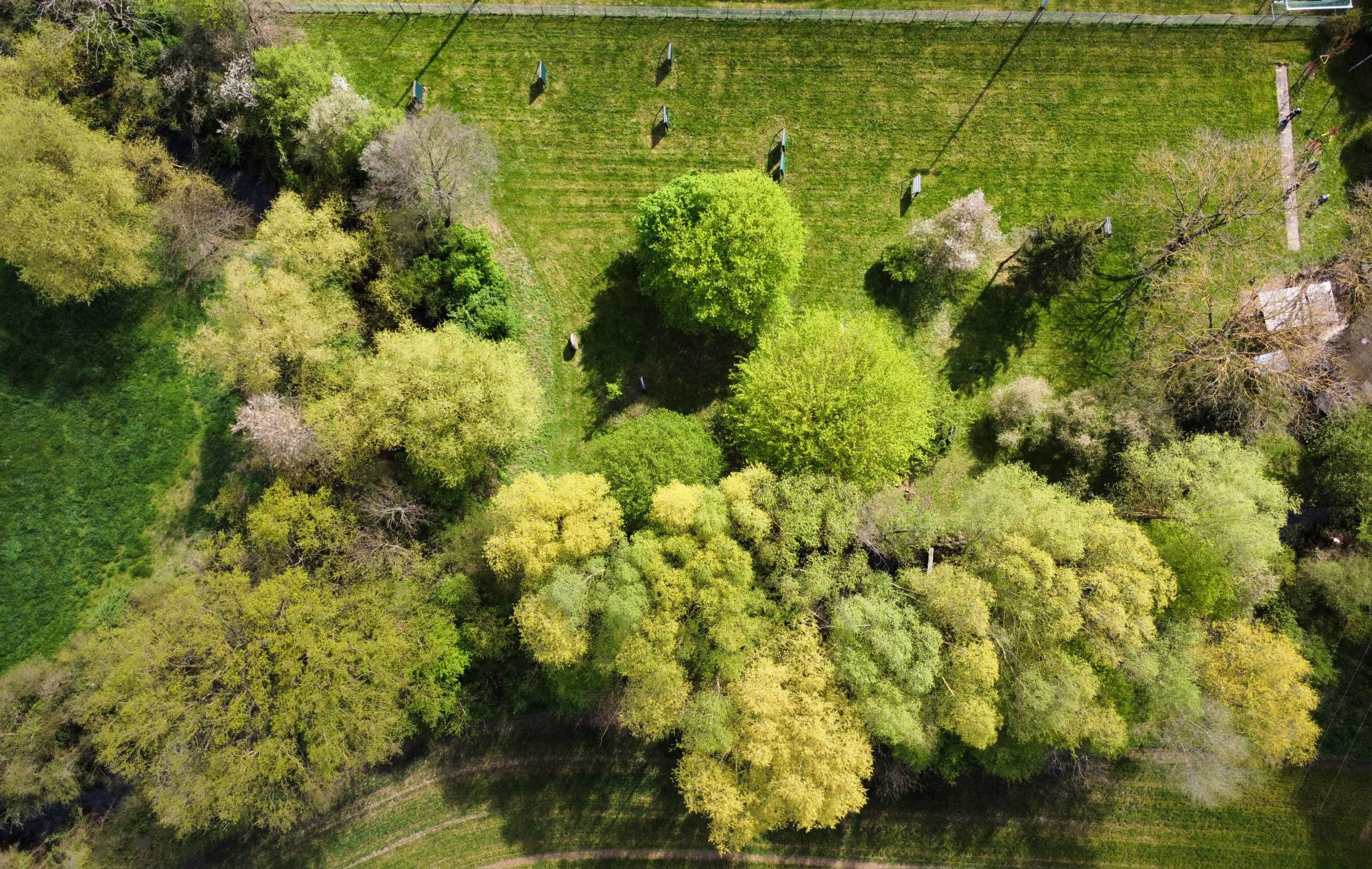 Rund um unseren Bogenschießplatz (Hessen)