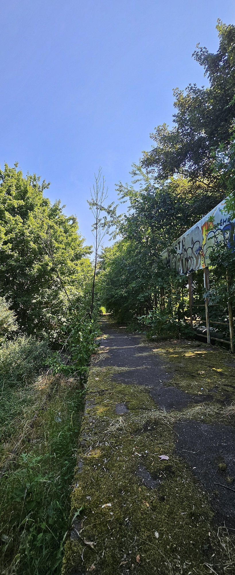 Clean Up Haltestelle Györer Straße (Thüringen)