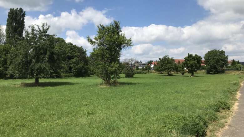 Cleanup rund um die Streuobstwiesen in Butzbach (Hessen)