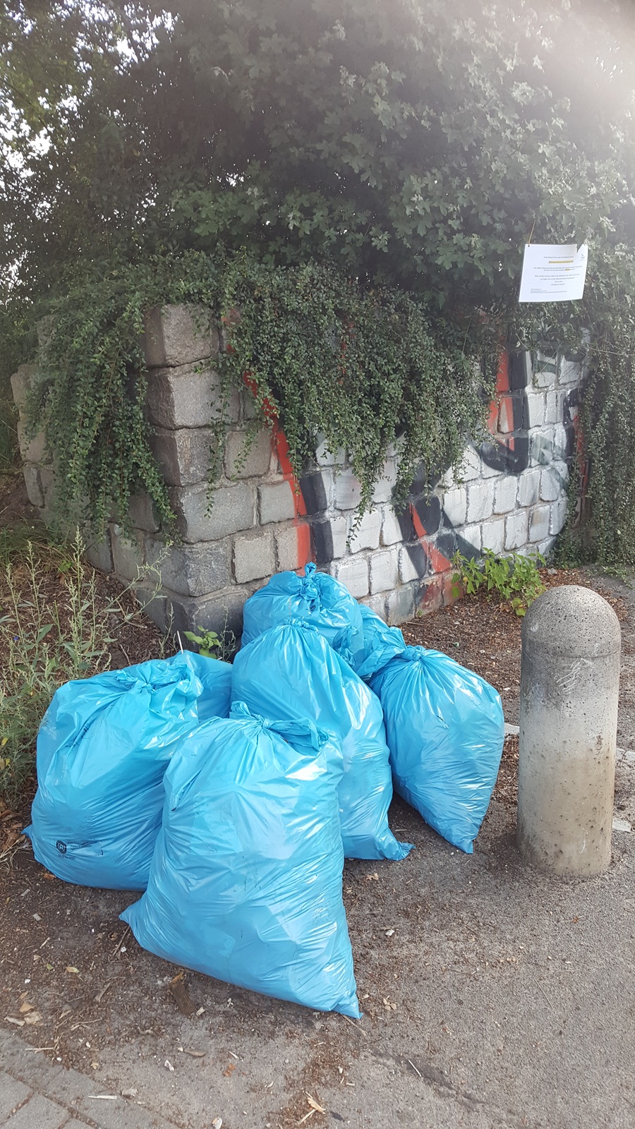 World Cleanup Day 2025 (BER)