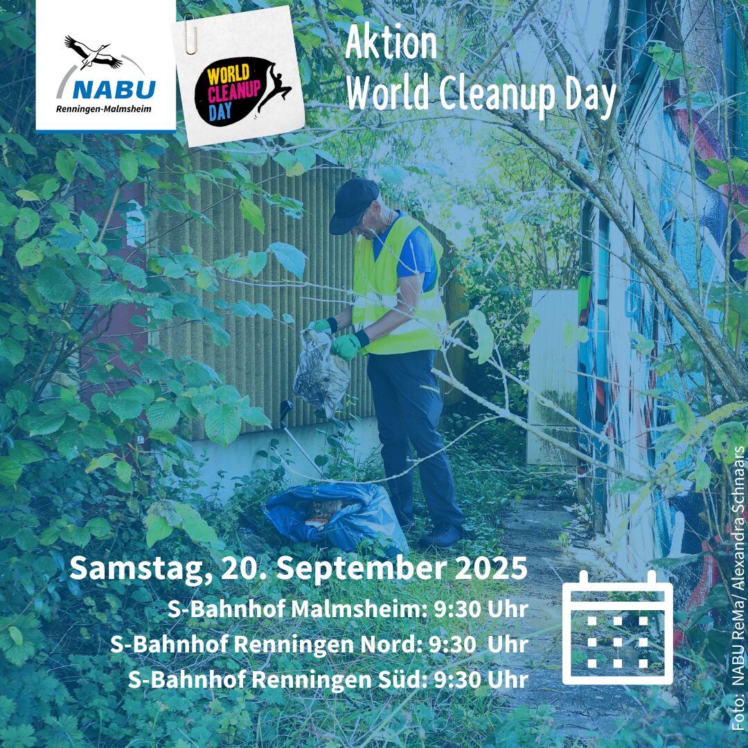 Cleanup Day Renningen Nord (BW)