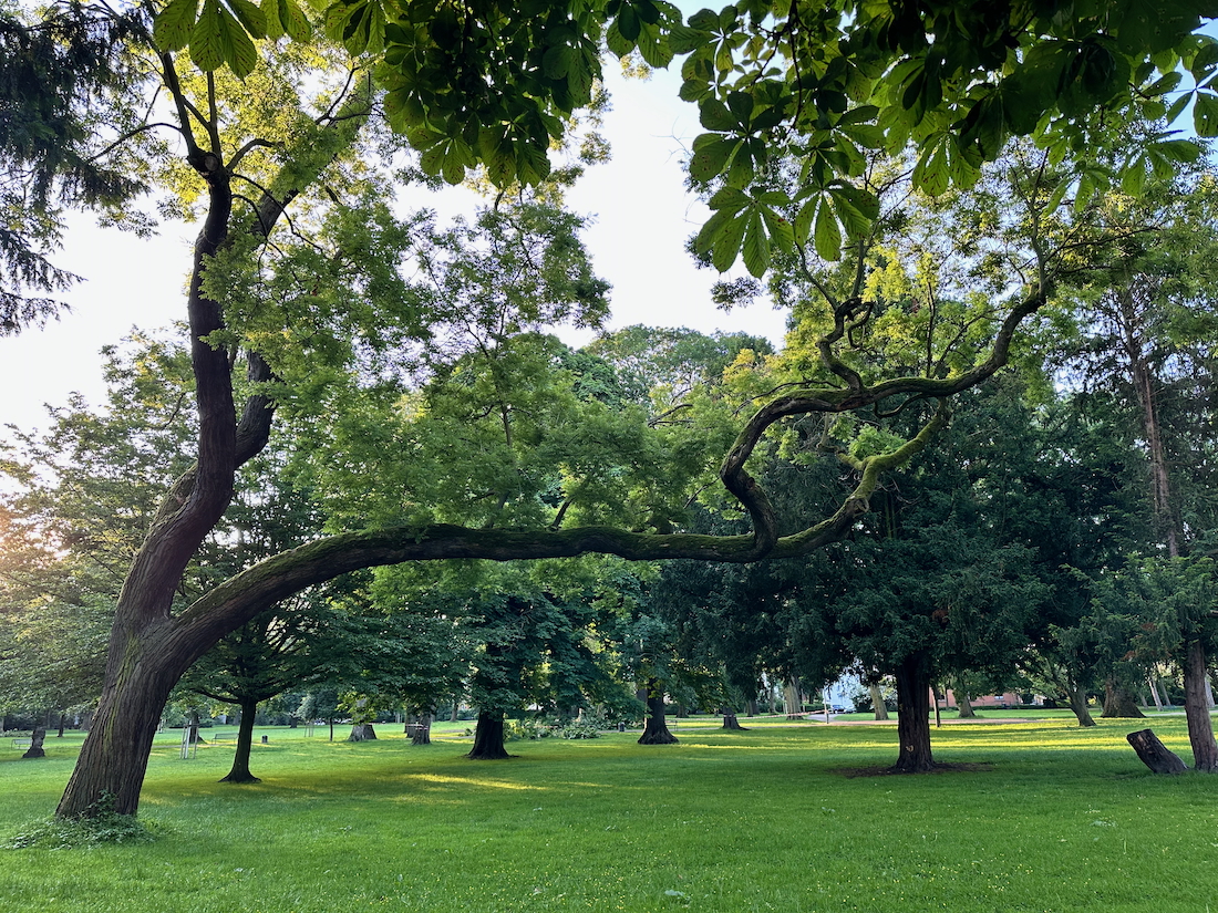 Müllsammelaktion im Stadtgarten (NRW)