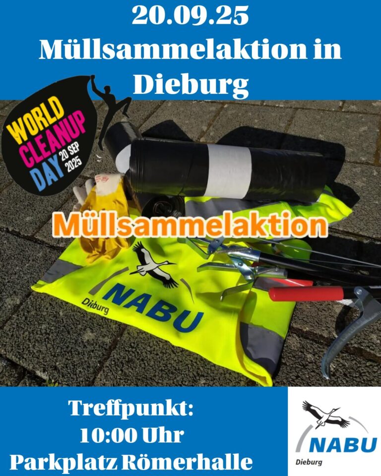 250920 müllsammeln