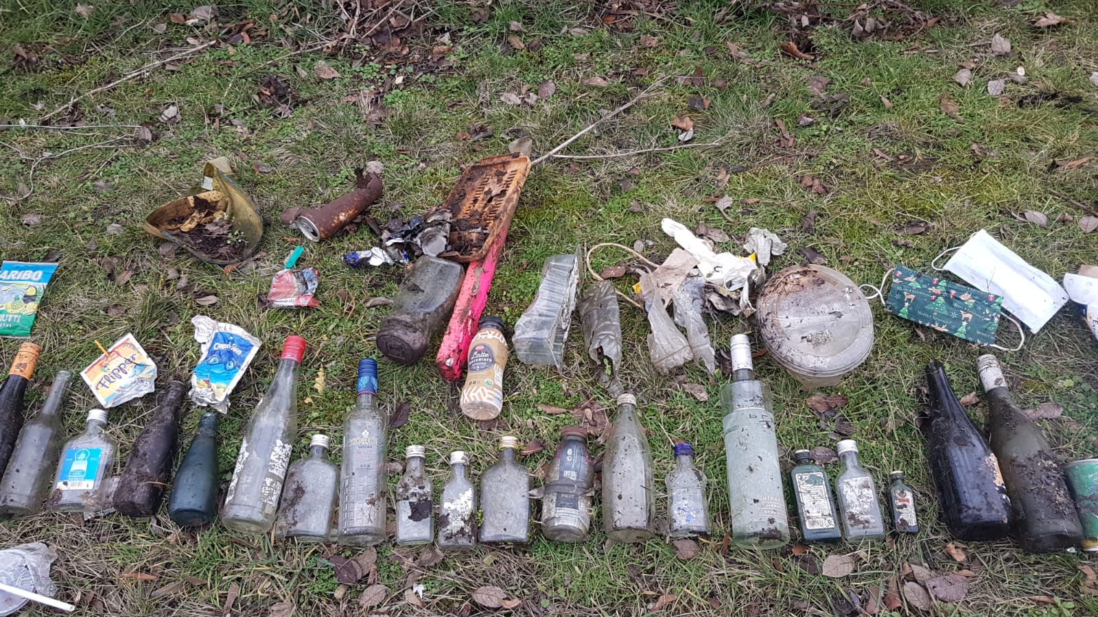 Cleanup Meschenich (NRW)