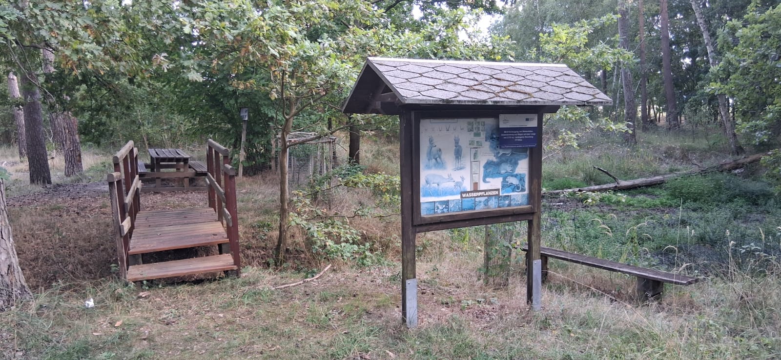 Arbeitseinsatz im Falkenberger Wald (BB)