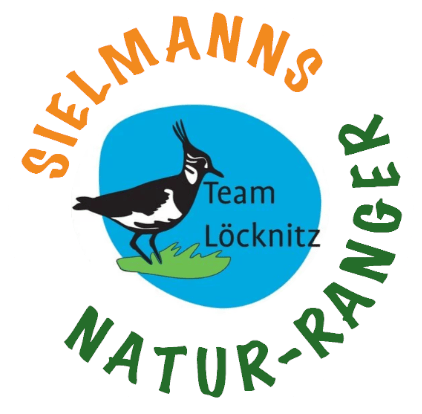 Ranger räumen auf! (MV)