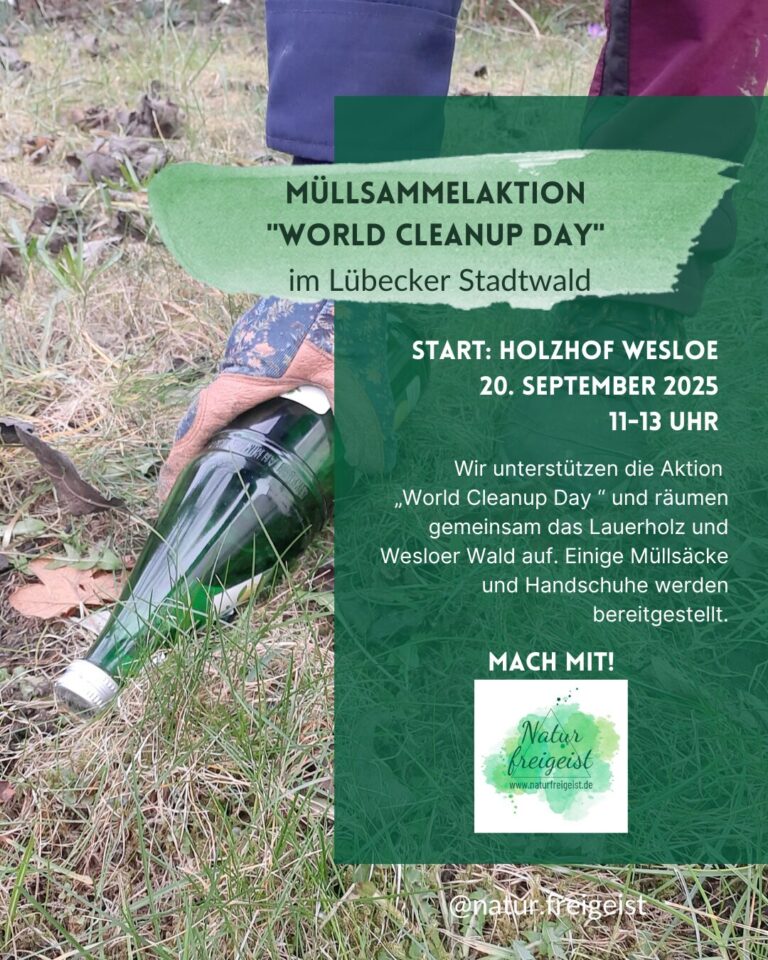 insta beitrag (instagram post (45)) 20250909 081536 0000