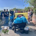 ni 31675 trash pandas bueckeburg