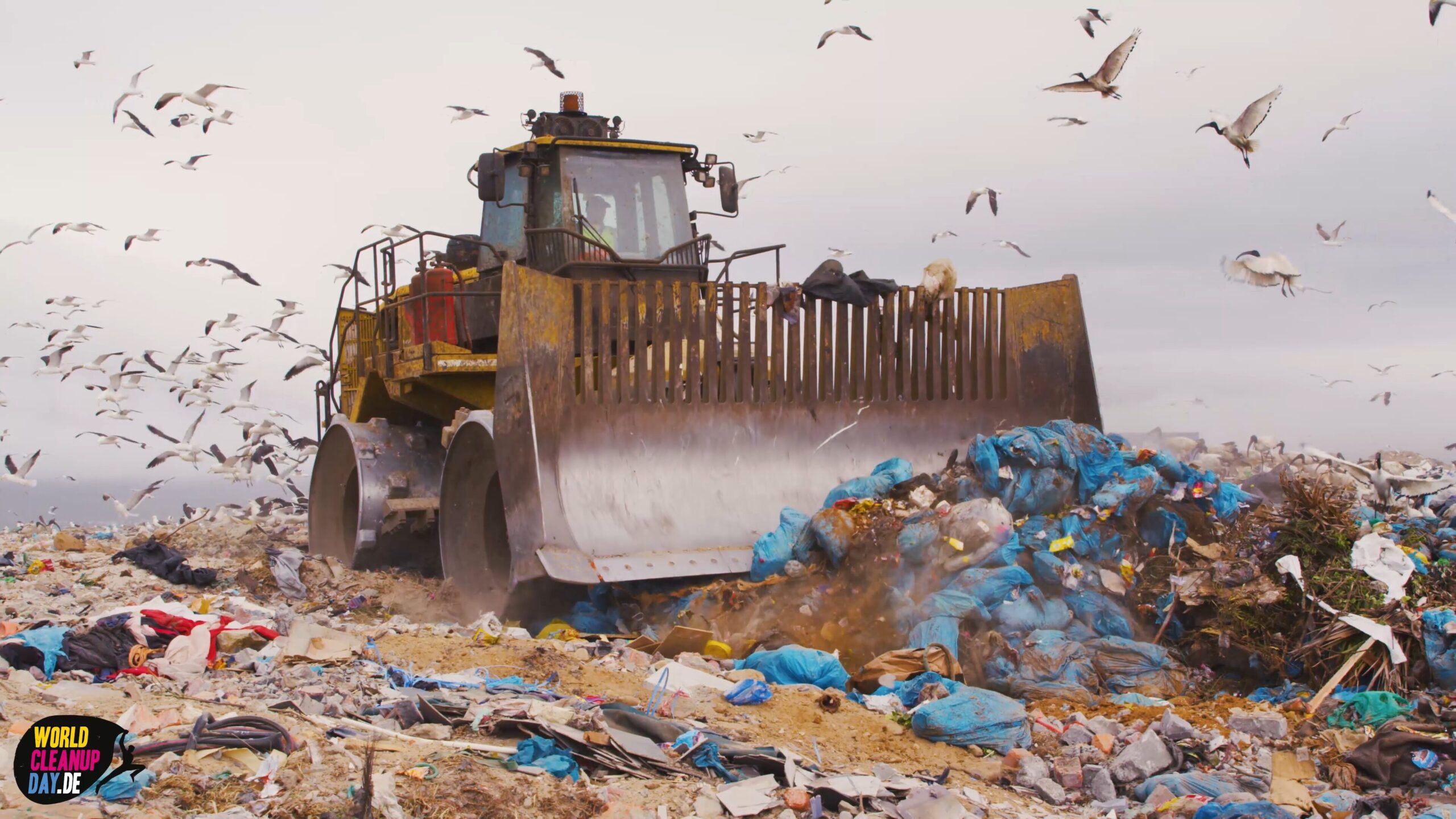 World Cleanup Day 2025 cta