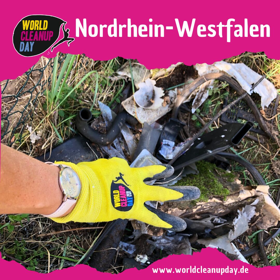 Wildwiesenreinigung zum Weltbienentag - Wuppertal