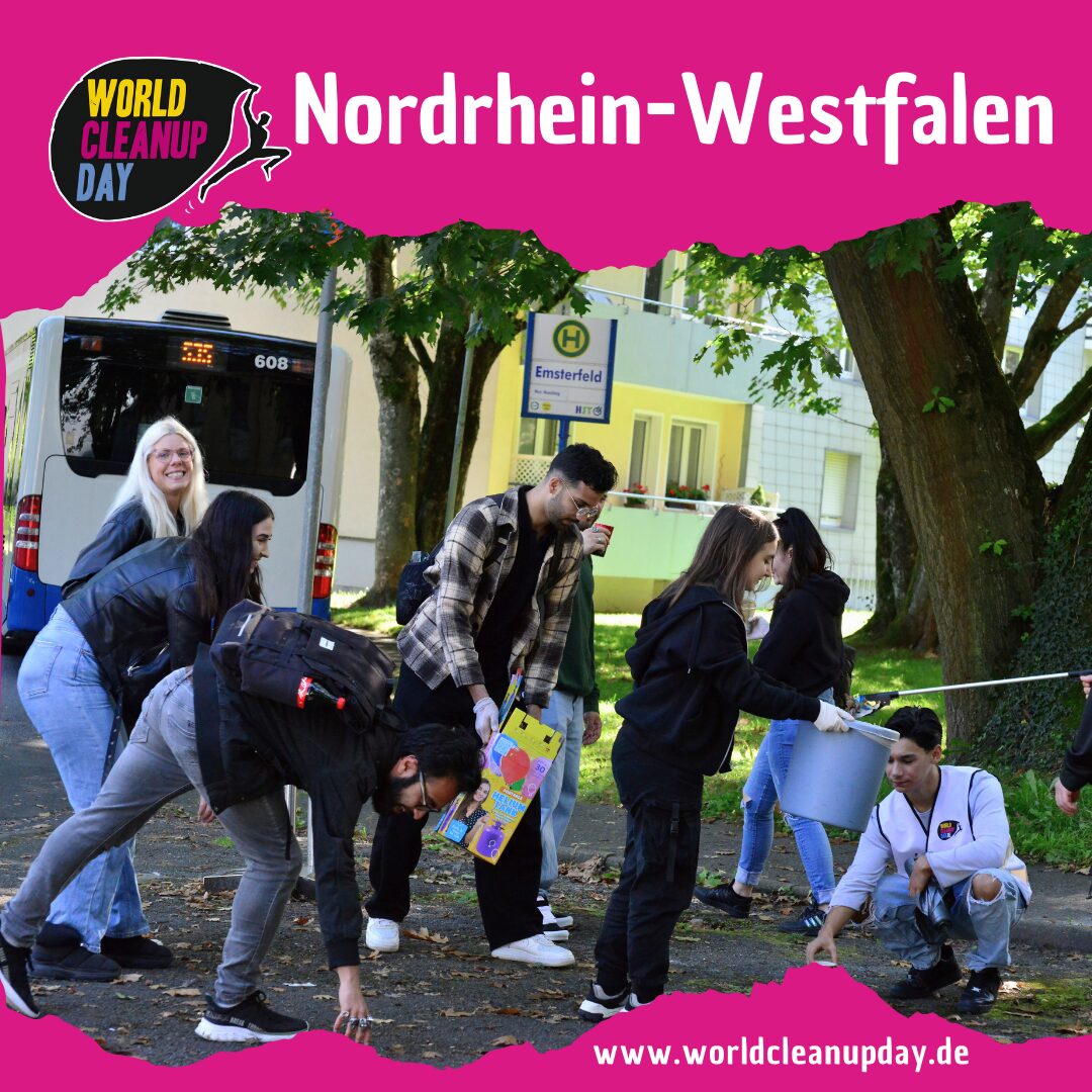 Cleanup Day Media-Park