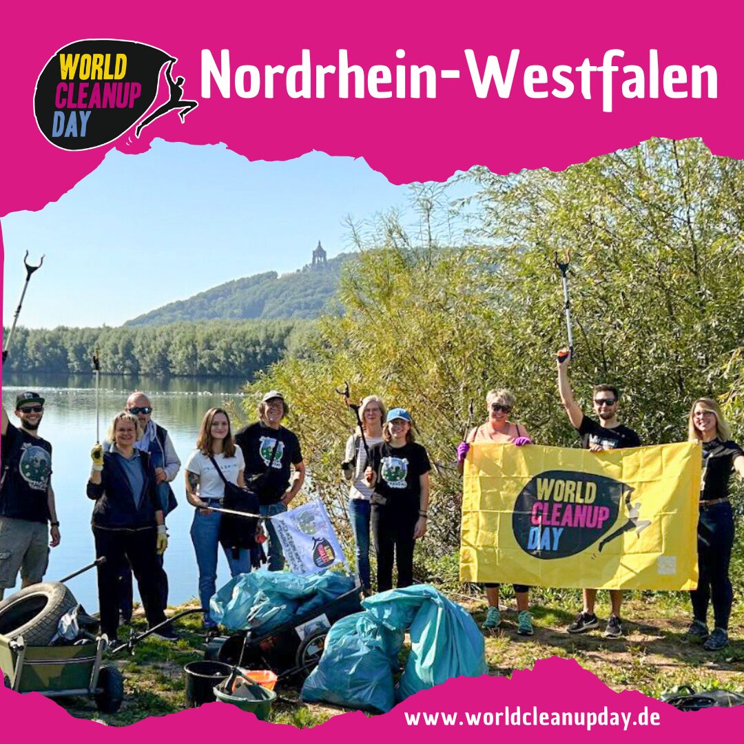 Seereinigung – über und unter Wasser